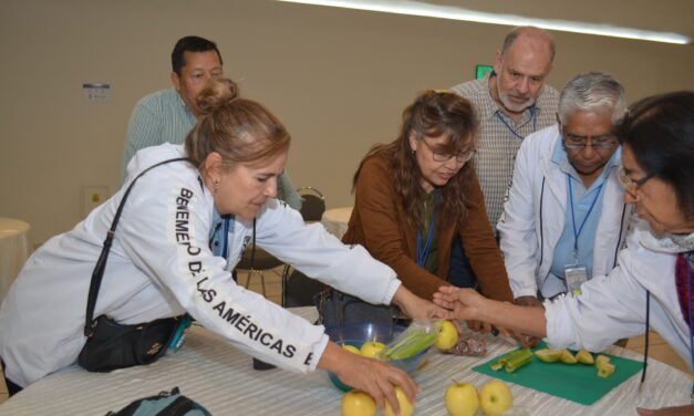 Fotos León 2025